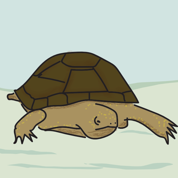 patience2.png