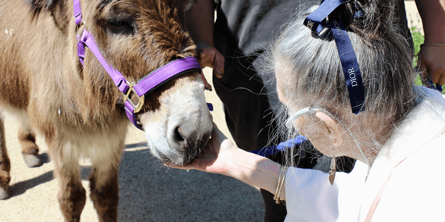 Tina strokes Clover nose after feeding her a carrot.