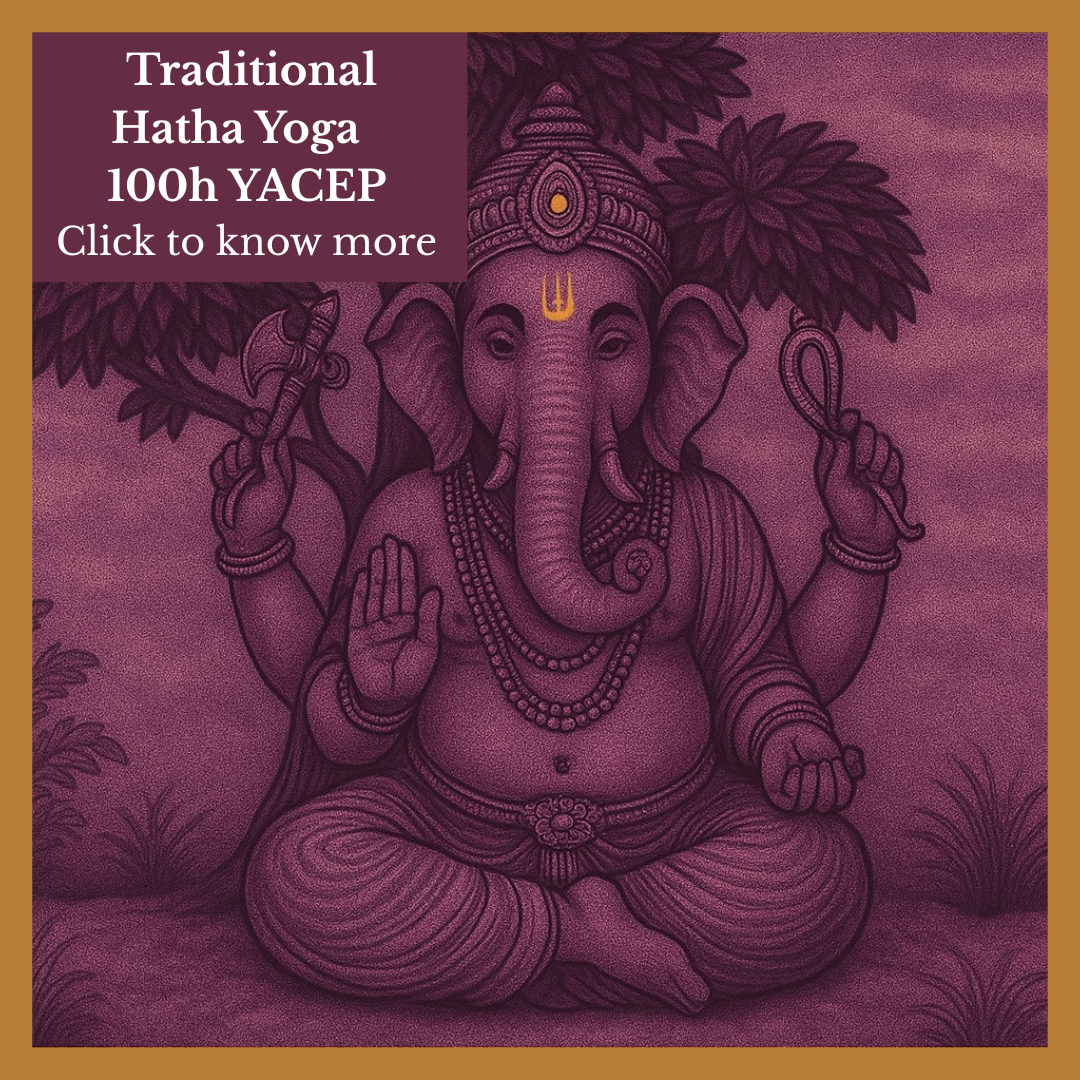 tattva-hatha-yoga-training-100h-vevey