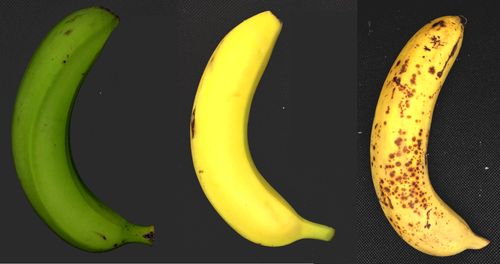 Sagitto uses machine vision to measure colour