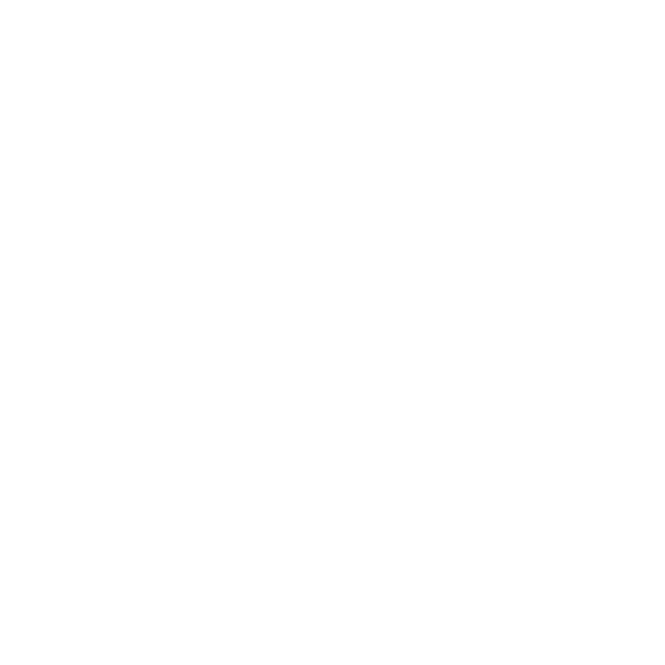 CTA Icon