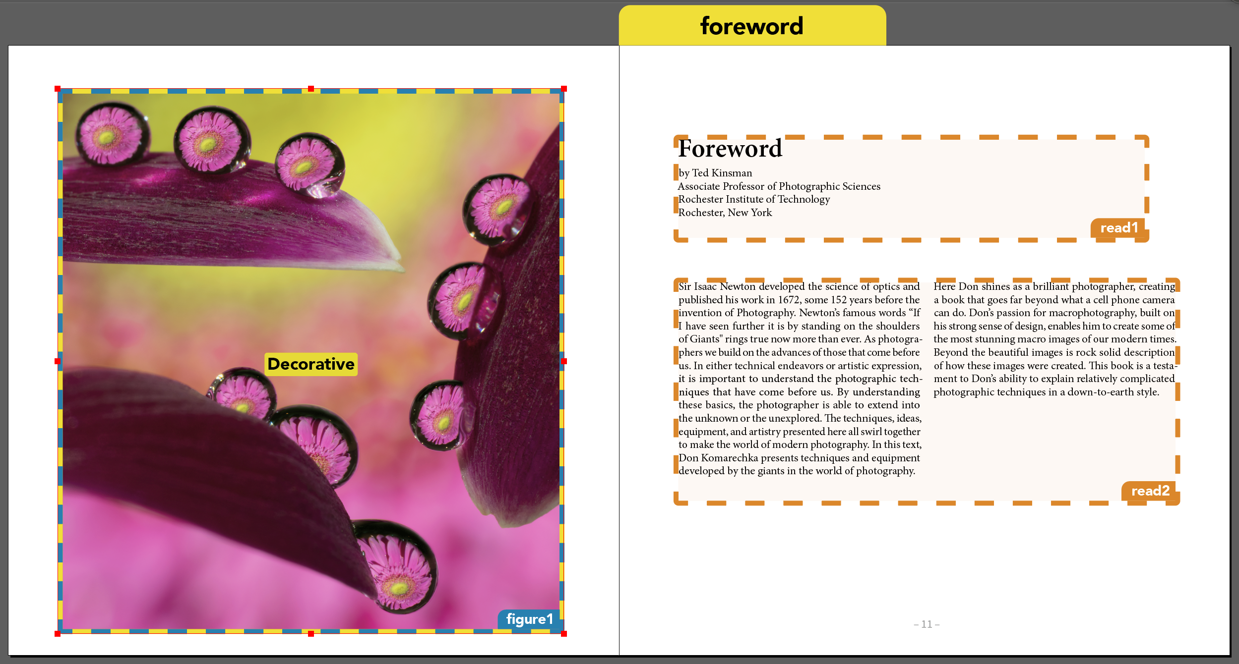 A spread with an eye catching but decorative opening image used for the foreword section