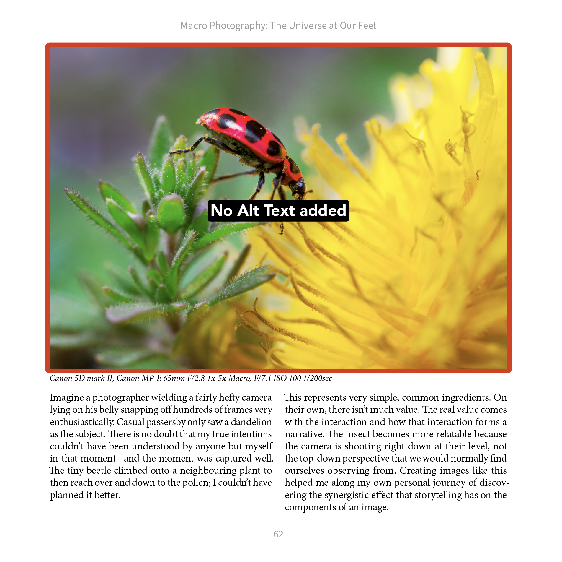 A page shows an image flagged as 'No Alt Text added'