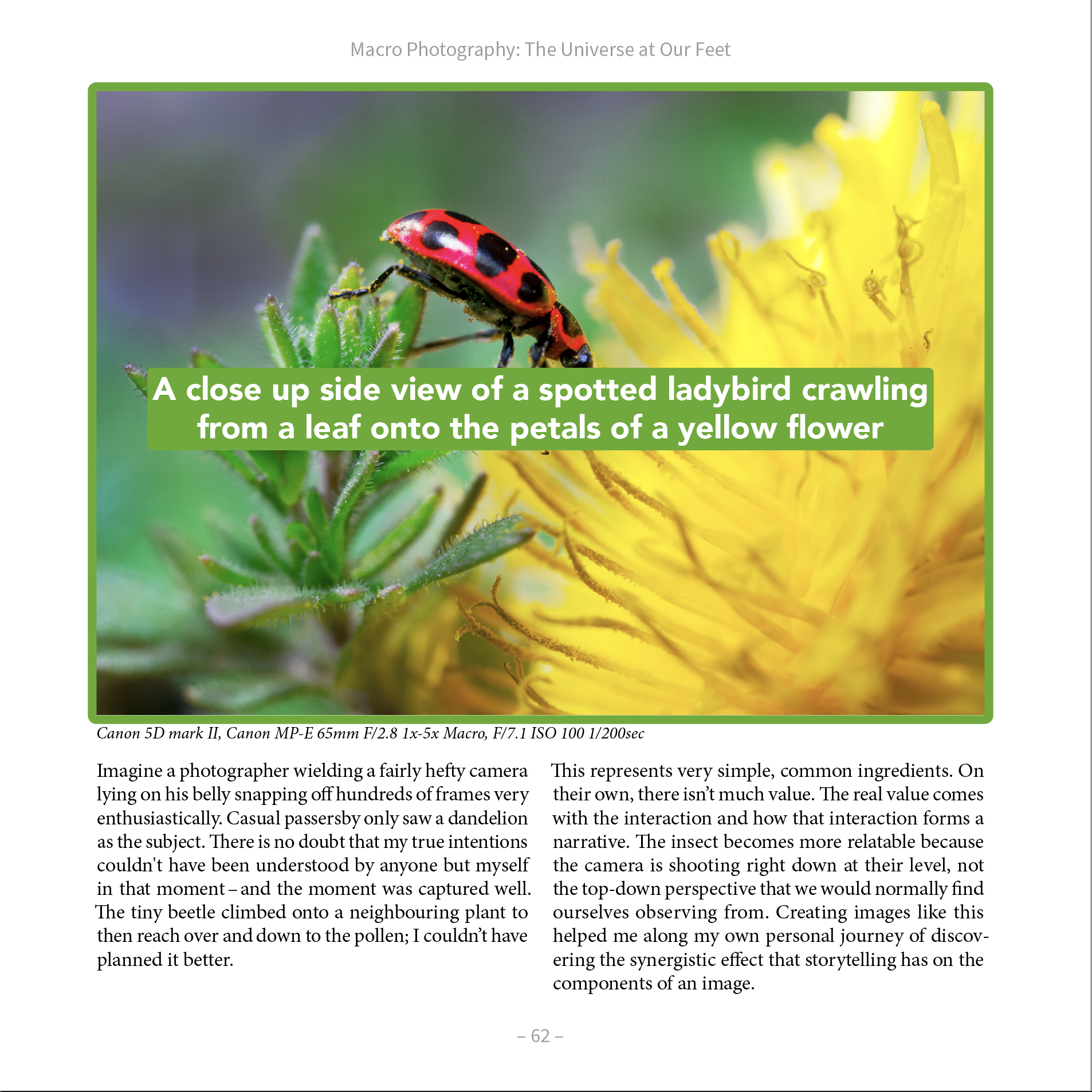 A page is shown with an overlaid label showing an image description that has been added