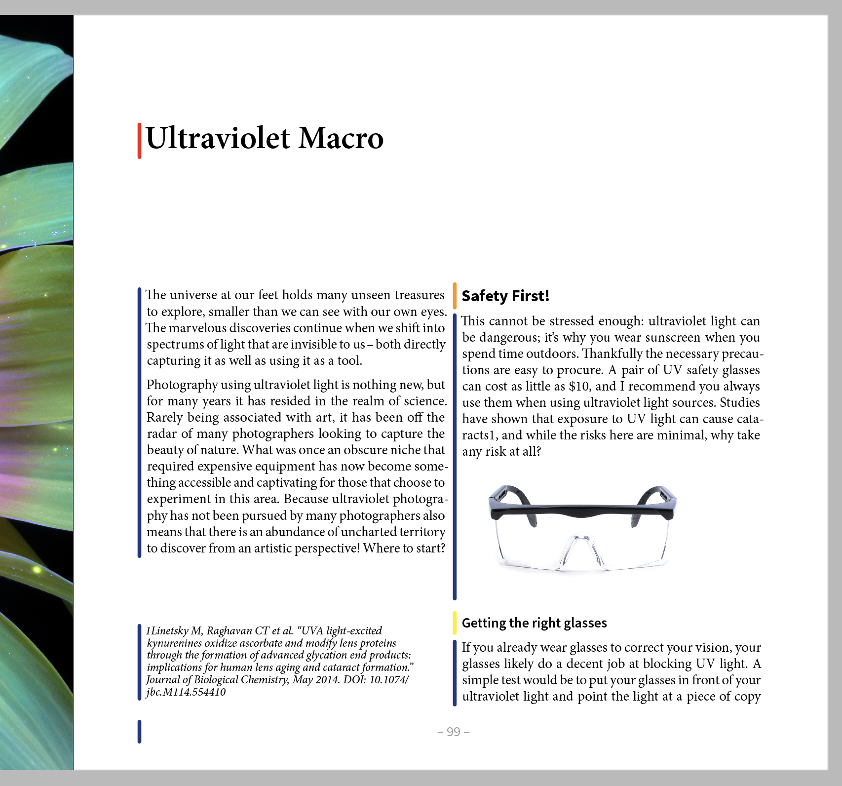 A page has stripes of colour added to the page taht show that H1, H2, H3 and paragraph export tags applied