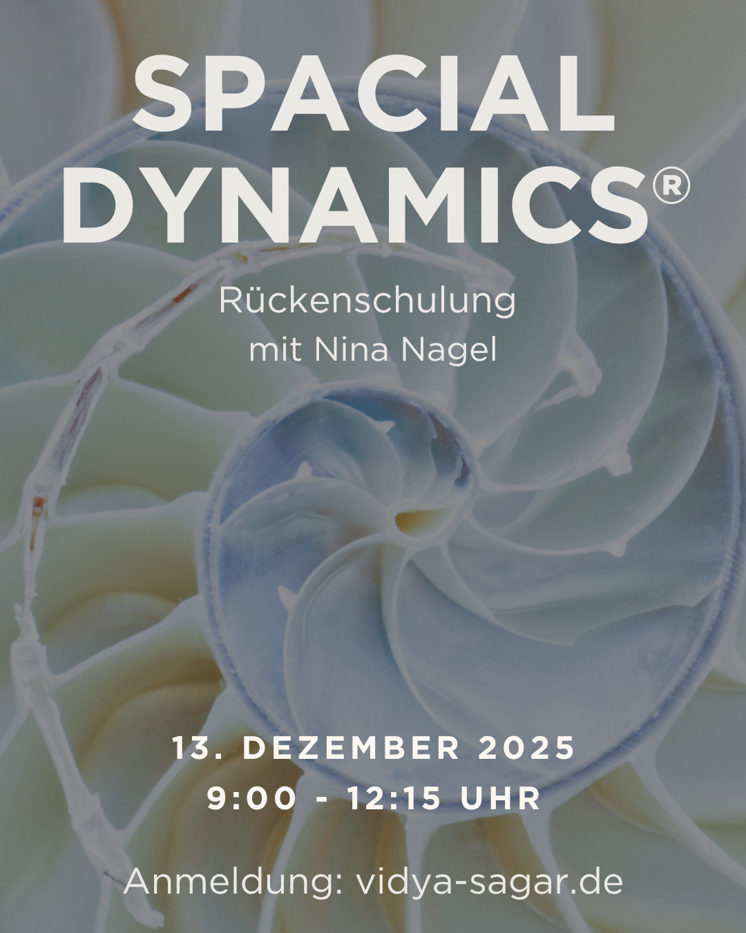 13.12.2025 Rückenschulung nach der Spacial Dynamics® Methode