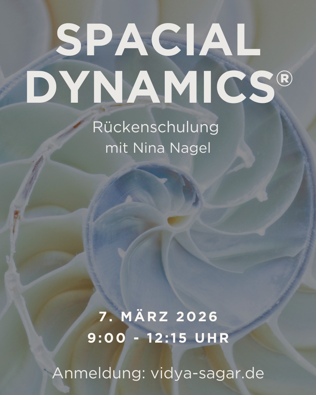 07.03.2026 Rückenschulung nach der Spacial Dynamics® Methode