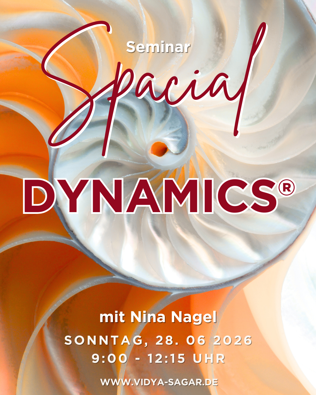 28.06.2026 Rückenschulung nach der Spacial Dynamics® Methode