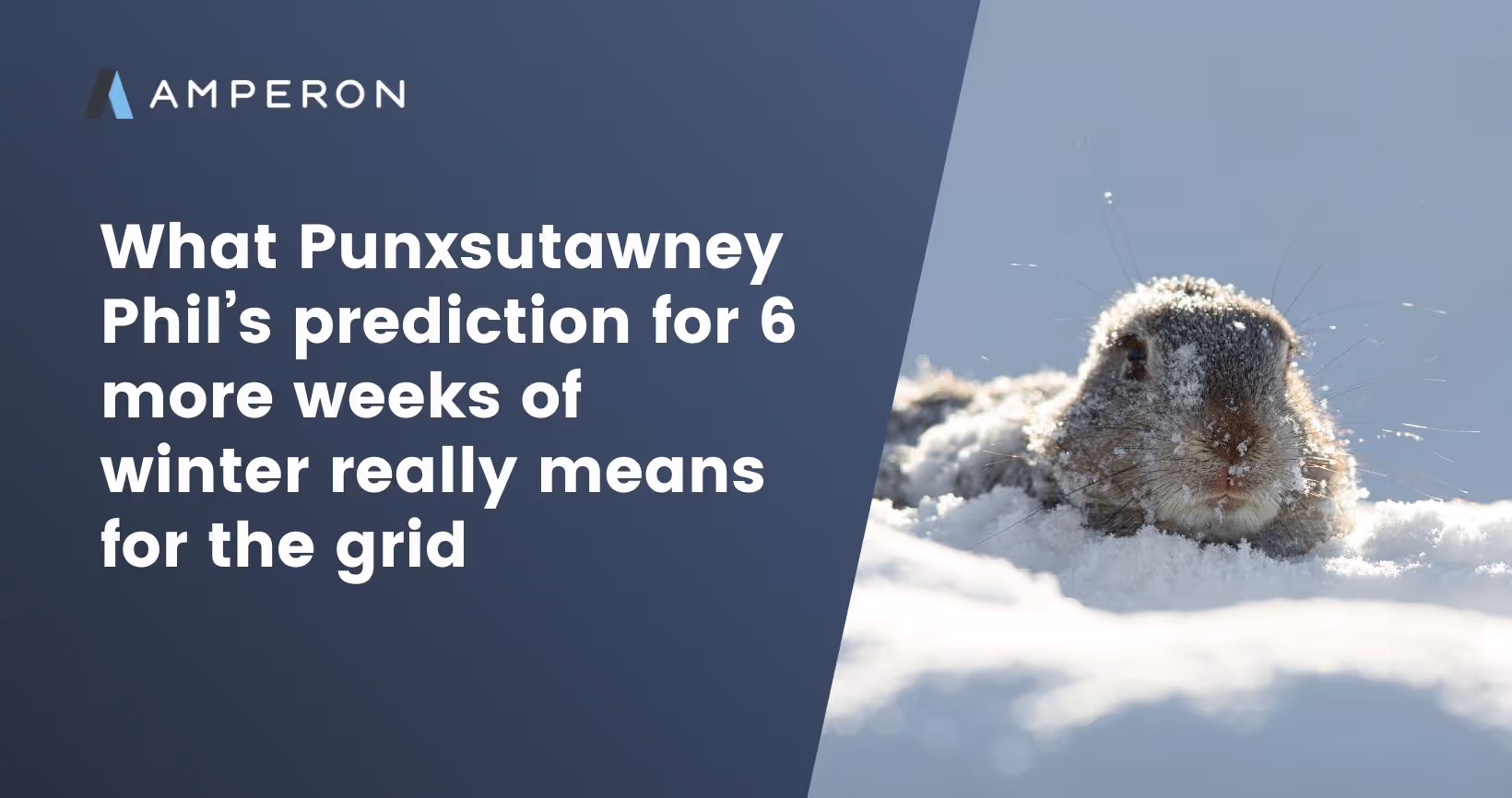 Amperon slide featuring Punxsutawney Phil prediction reference titled "What Punxsutawney Phil's prediction for 6 more weeks of winter really means for the grid" with snowy groundhog image