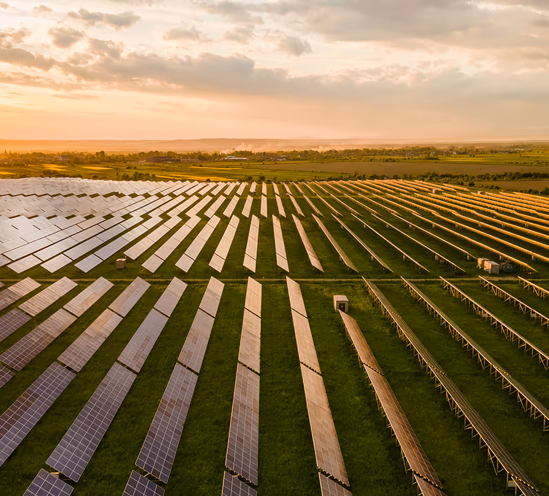 Aerial view of large-scale ground-mounted solar farm with rows of panels in green rural landscape at golden hour