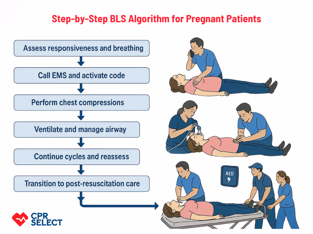 Step-by-Step BLS Algorithm for Pregnant Patients