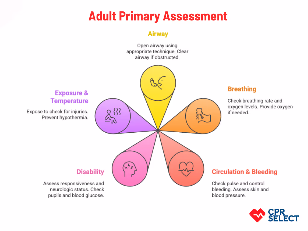 adult primary assessment