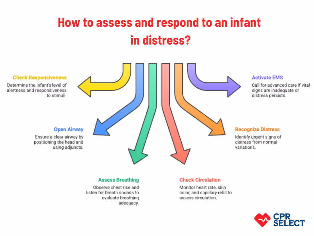 Infant Primary Assessment