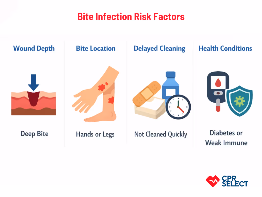 animal bite wounds risk factor