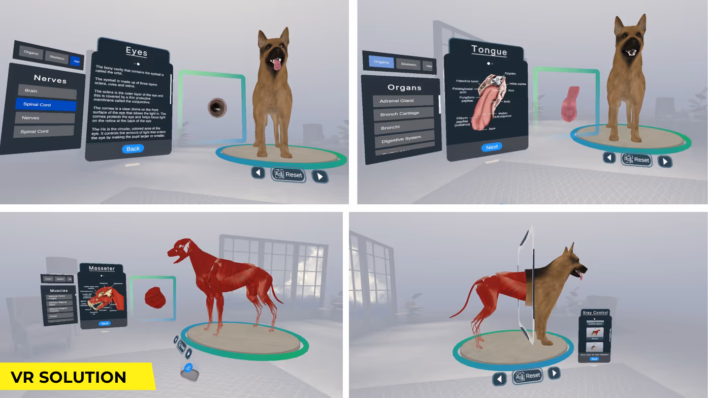 Veterinary Anatomy and Physiology VR