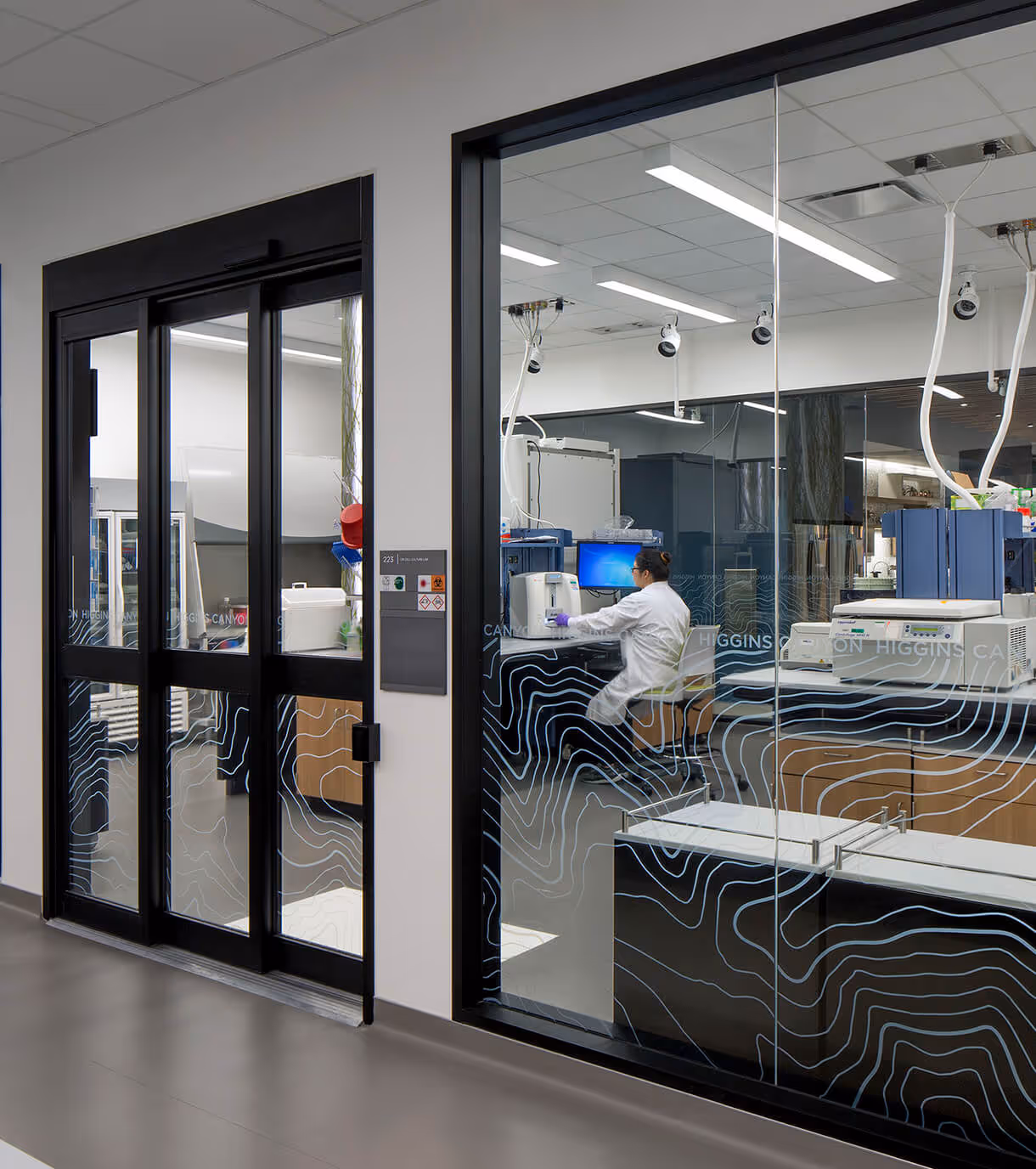 lab
