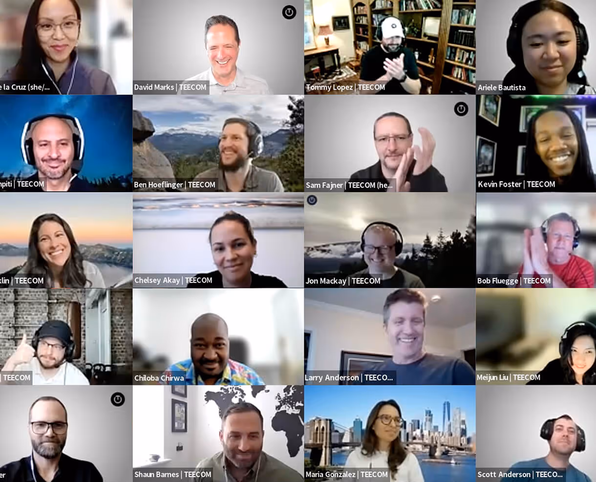 A screenshot of a TEECOM Zoom call