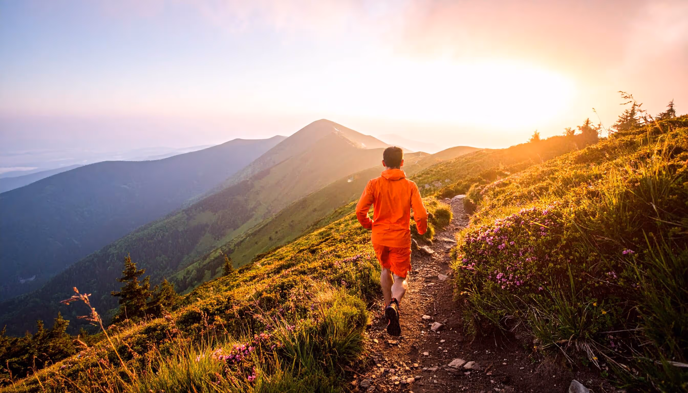 Runner wearing orange jacket and shorts running on a mountain trail at sunrise with mountains and wildflowers around.