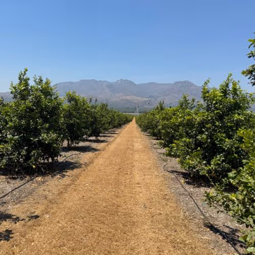 Our Quality Gallery - Farm Webflow Template