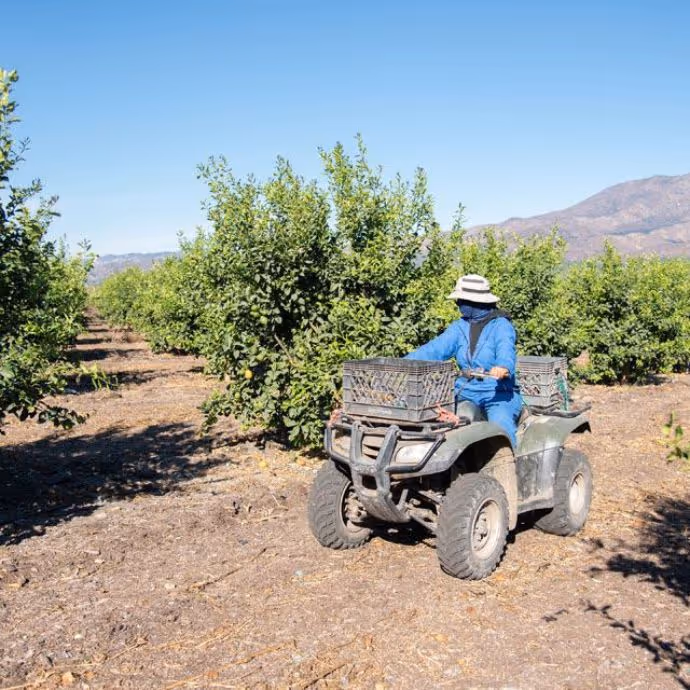 Our Quality Gallery - Farm Webflow Template