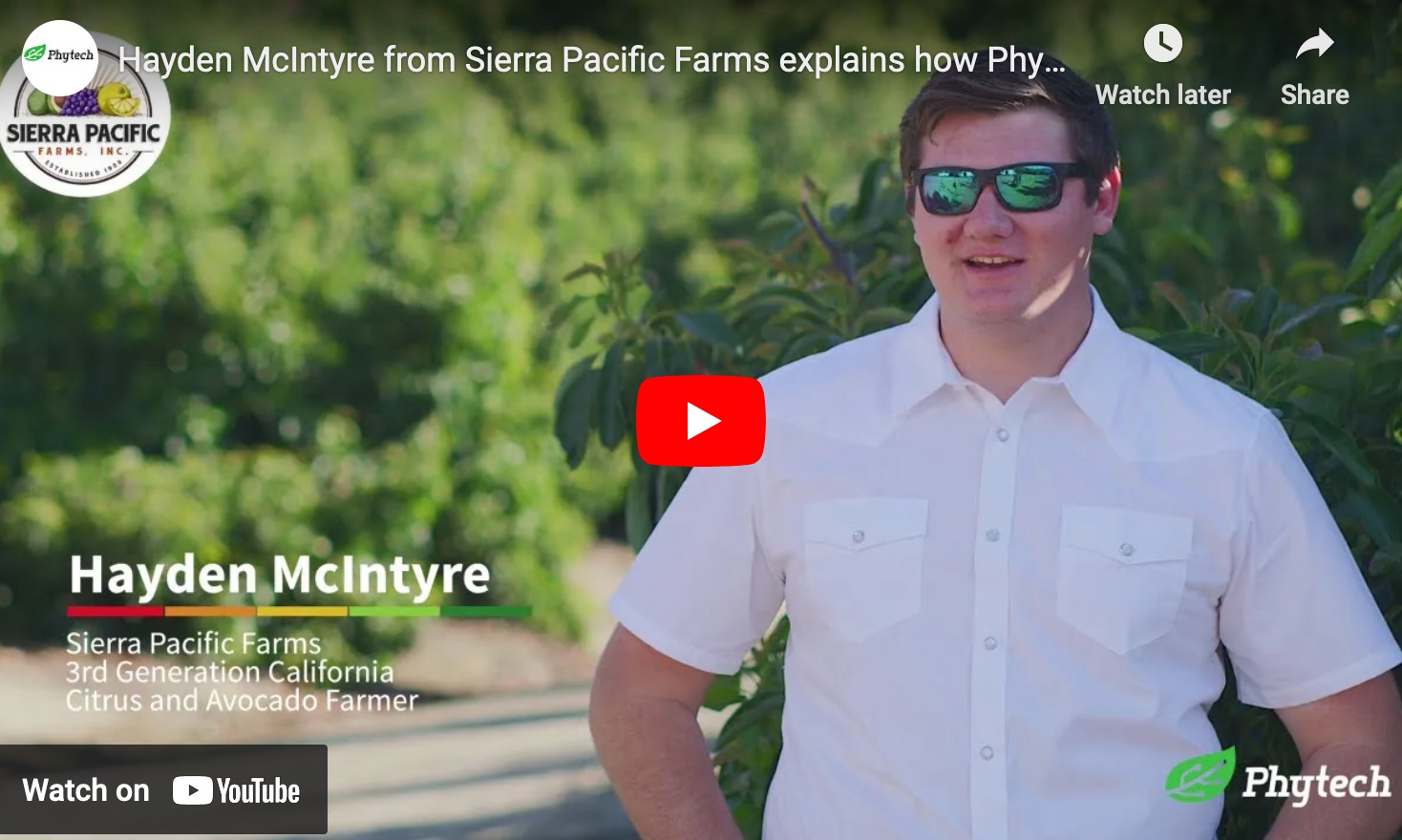 How Phytech Helps Better Manage Irrigation