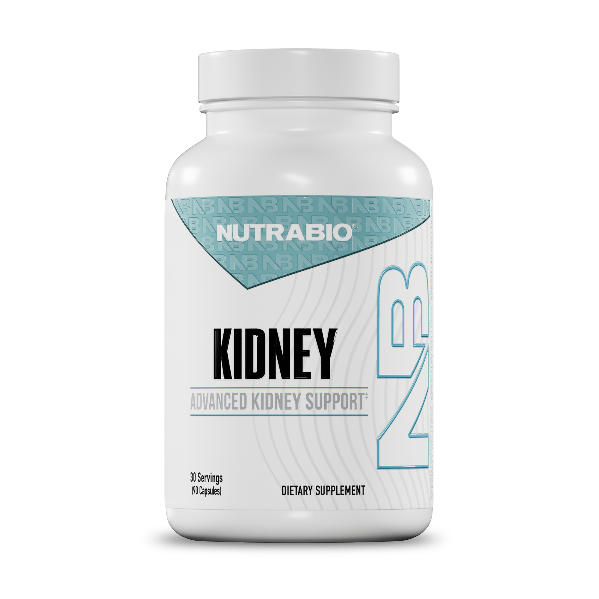 Kidney