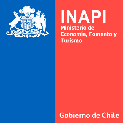 Inapi logo
