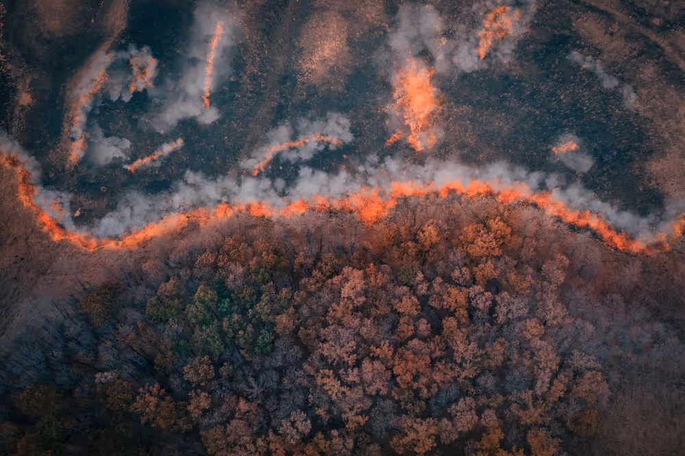 An aerial view of a forest fire.