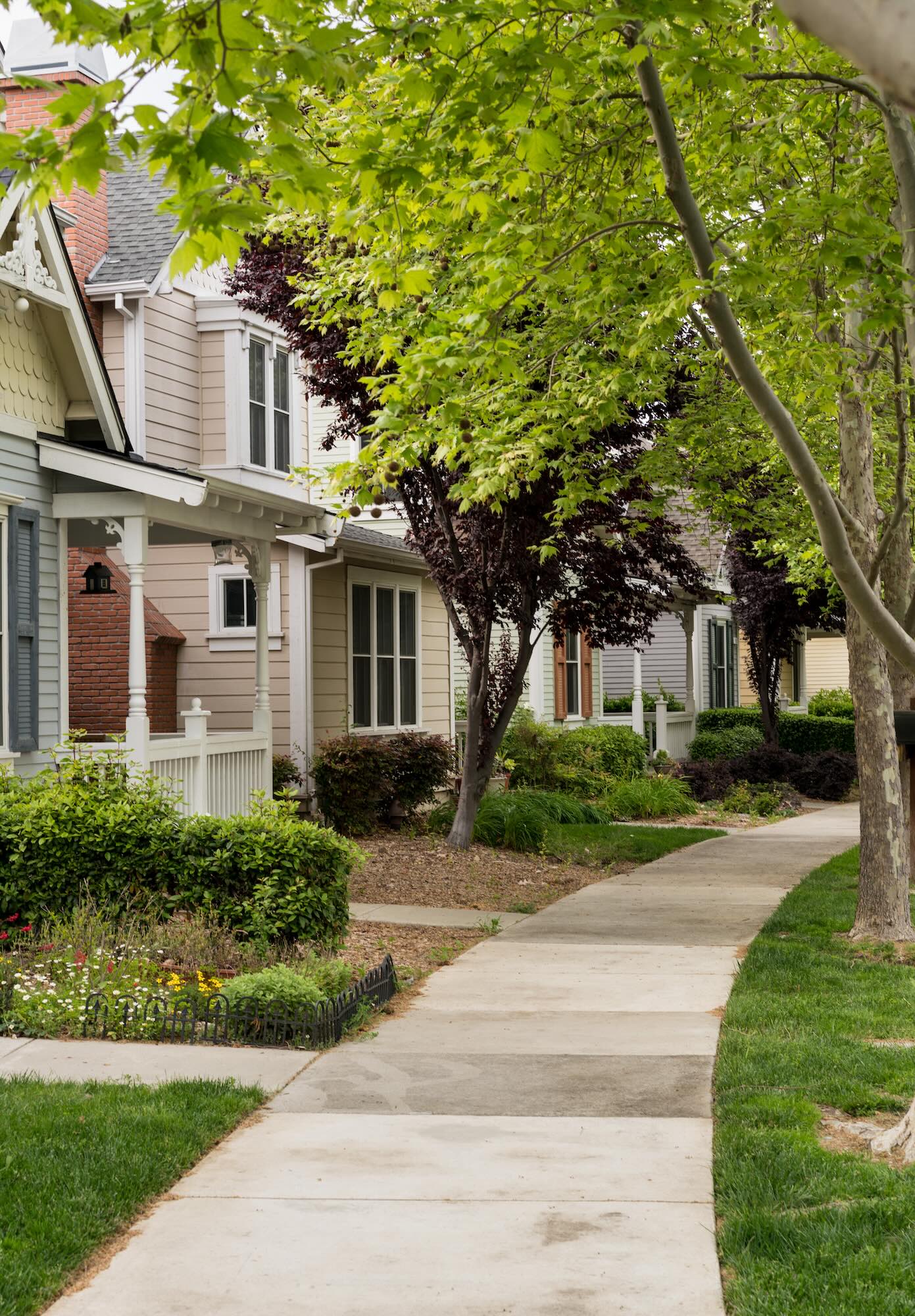 Sidewalk winding past residential houses with porches, green and purple trees, and landscaped lawns.