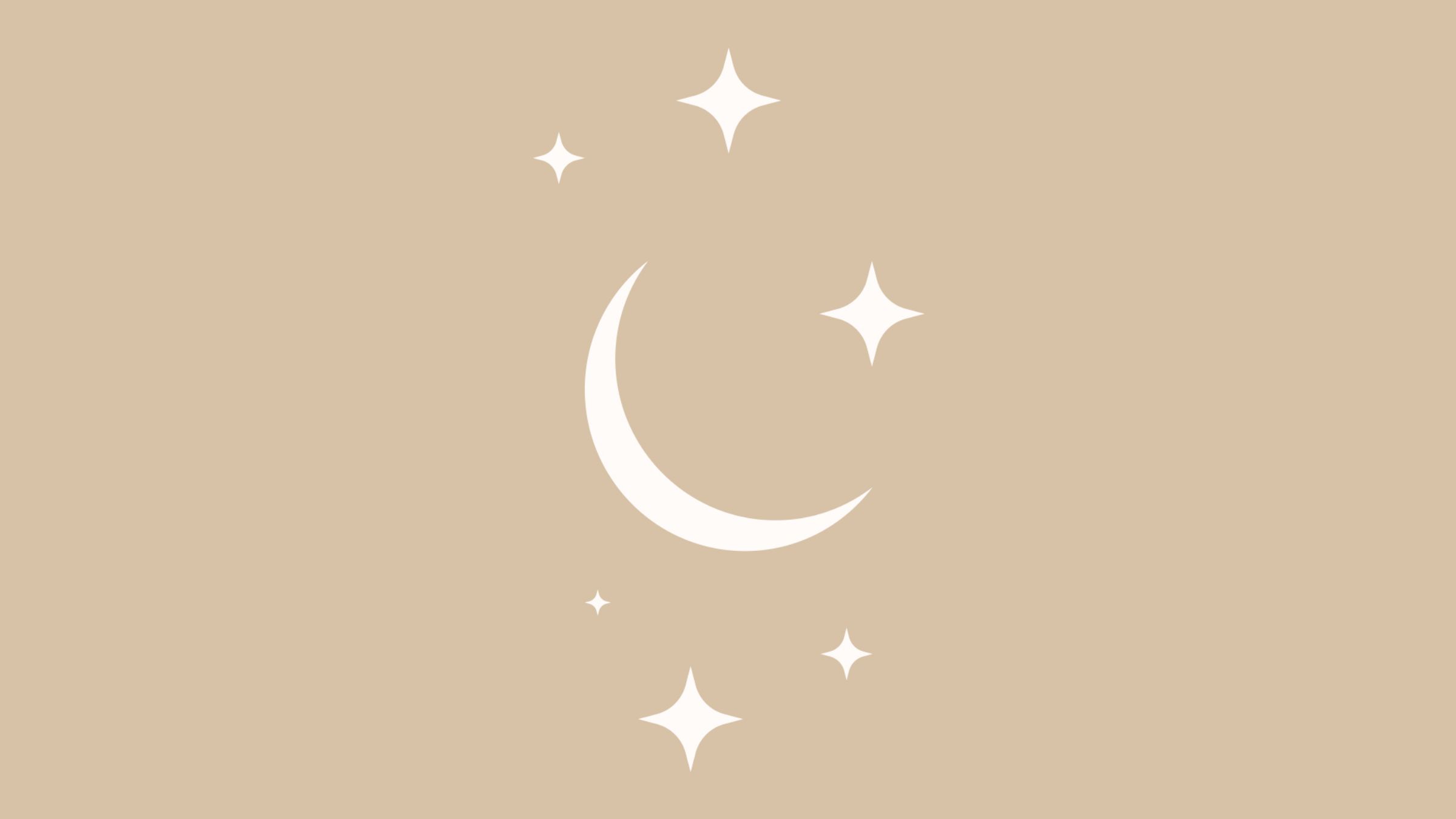 Chantelle Elise Photography Graphic Element