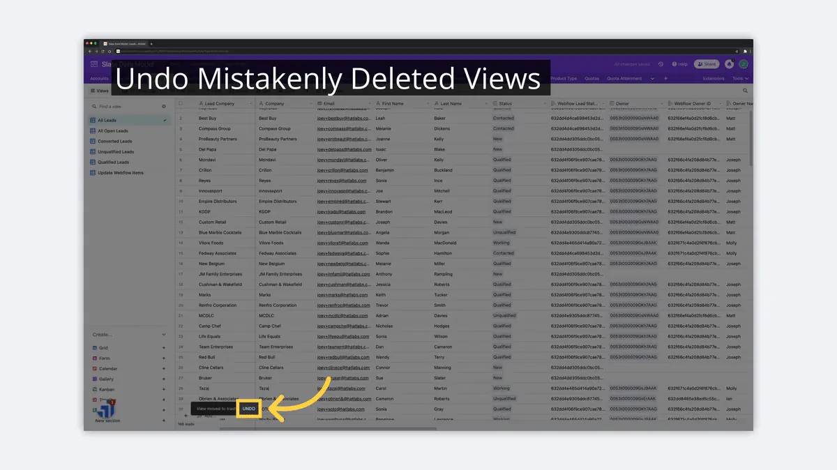 what is airtable undo view delete image