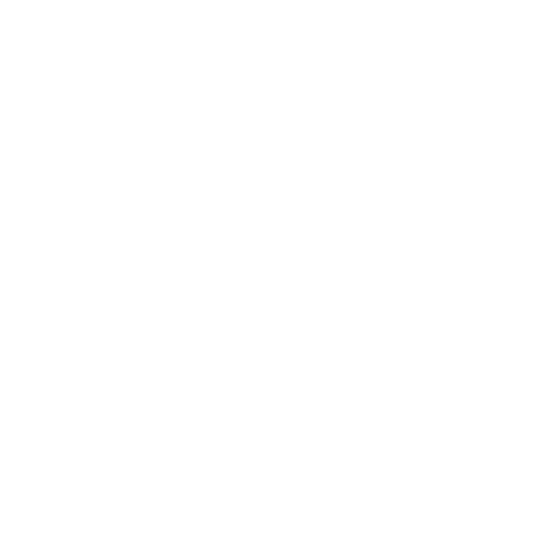 cog / gear