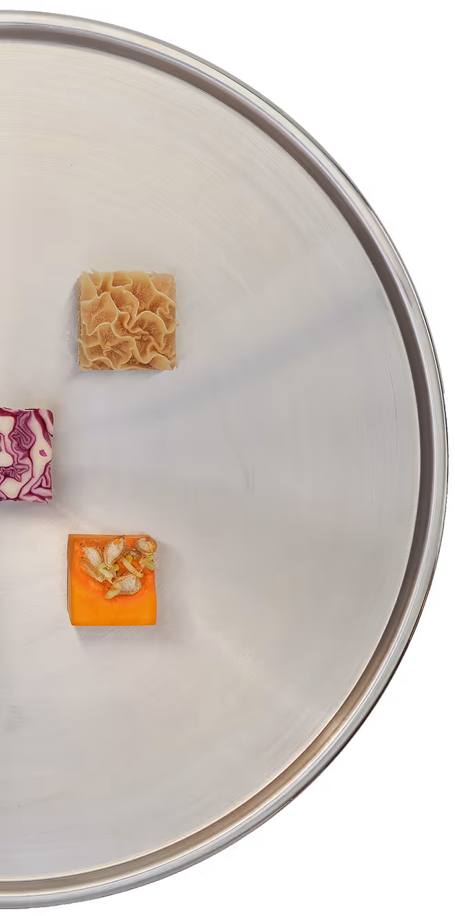 Resilient Adaptation platter for Menu 2035