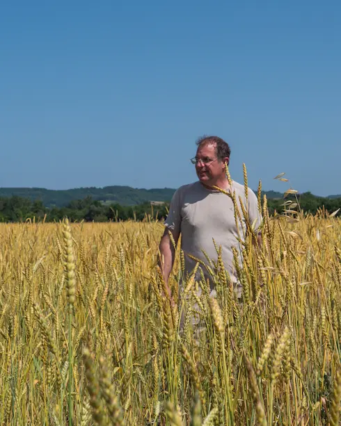 La ferme de Sauroux