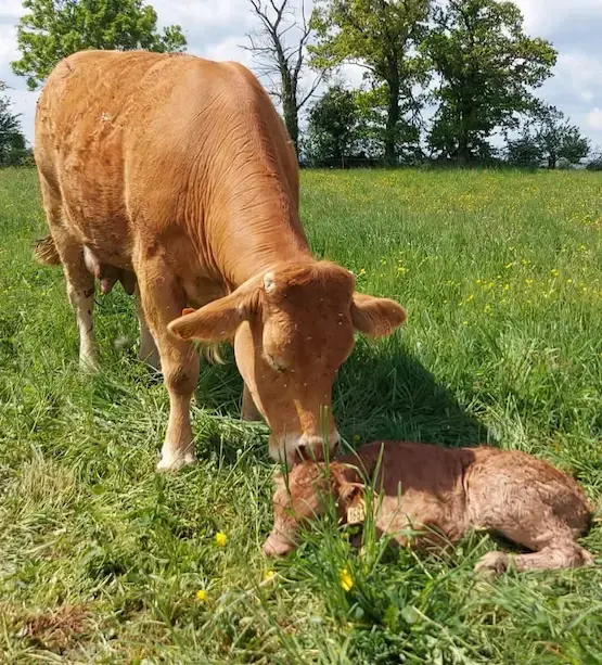 La Ferme de Gigoux