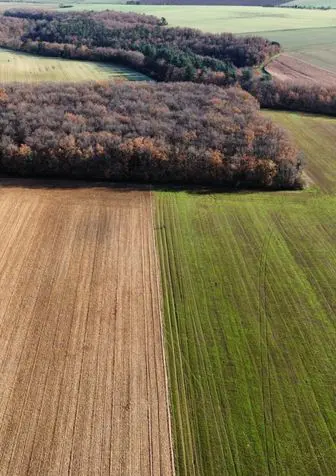 Ferme