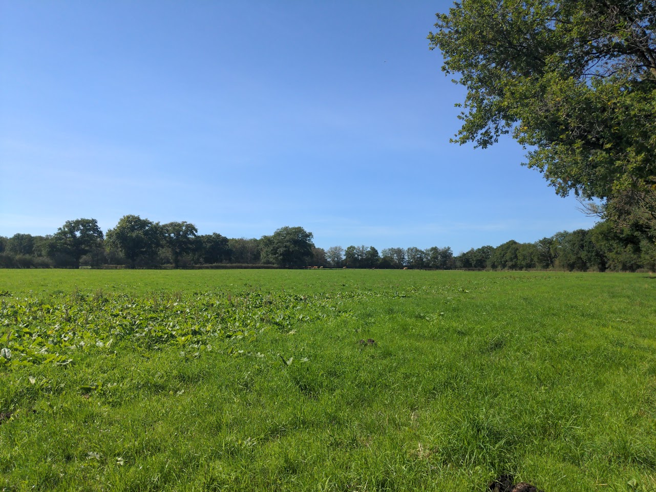 Ferme