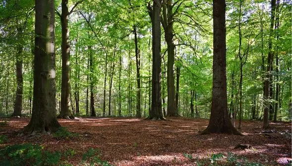Ferme agroécologique financée par FEVE