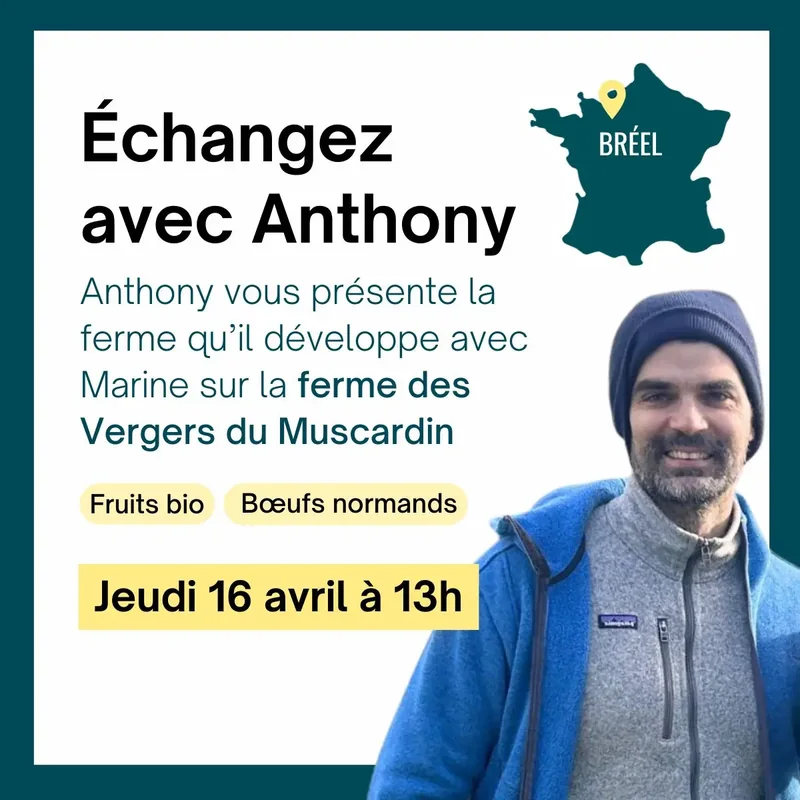 Échangez avec Anthony