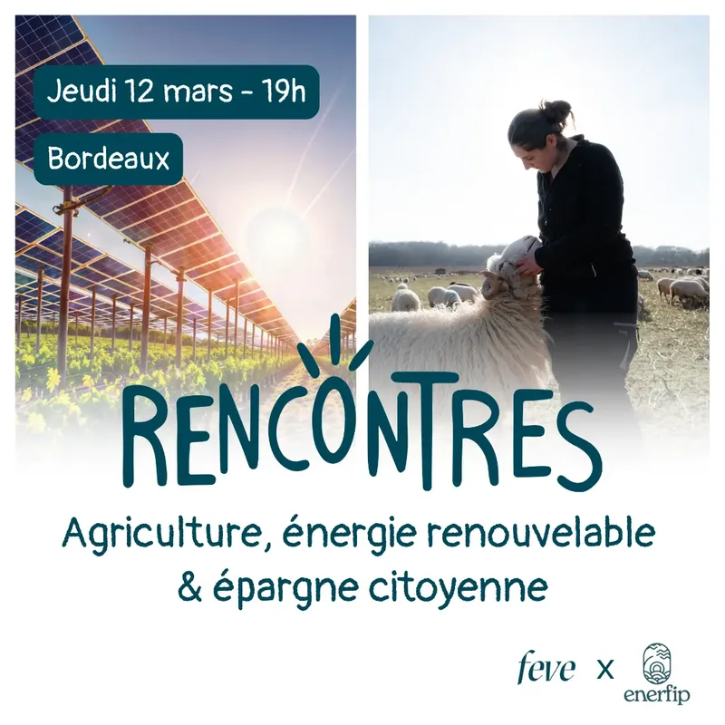 Soirée FEVE à Bordeaux avec Enerfip 