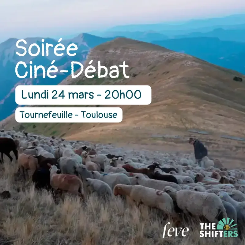 Soirée Ciné-Débat