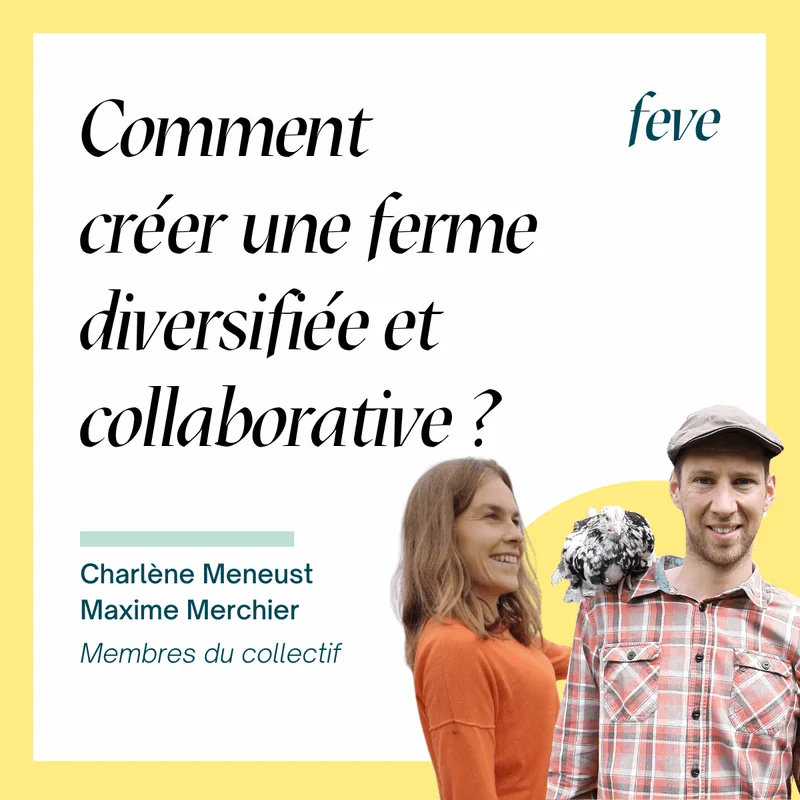 Un collectif évolue pour créer une ferme diversifiée en polyculture élevage ? Les champs de Bray