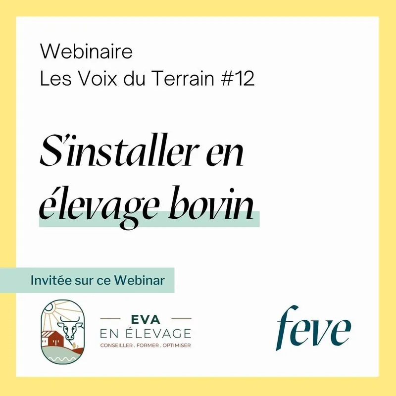 S'installer en élevage bovin