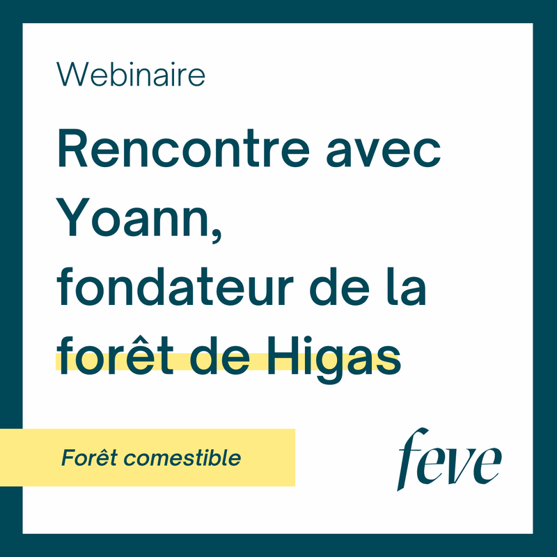 Rencontre avec Yoann, fondateur de la forêt de Higas, forêt comestible