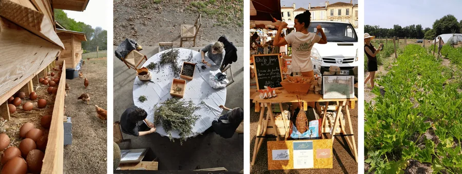 Etapes de production et de vente de la ferme des filles