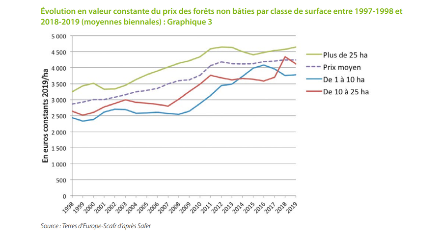 évolution prix forêt