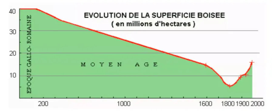Évolution de la superficie boisée
