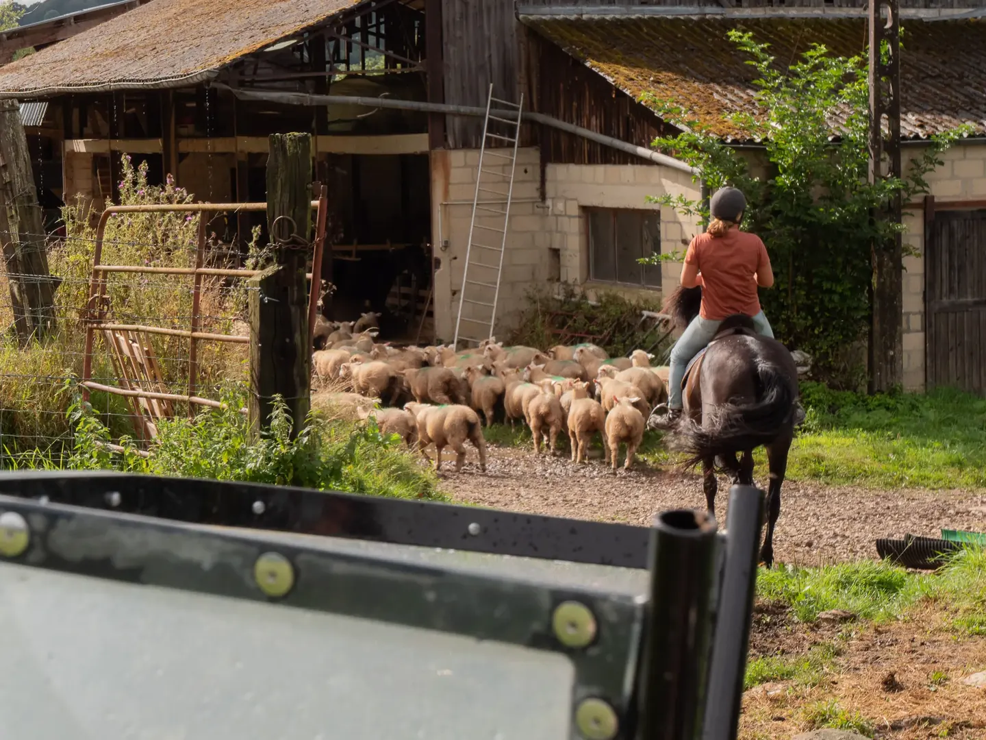 __wf_reserved_inherit