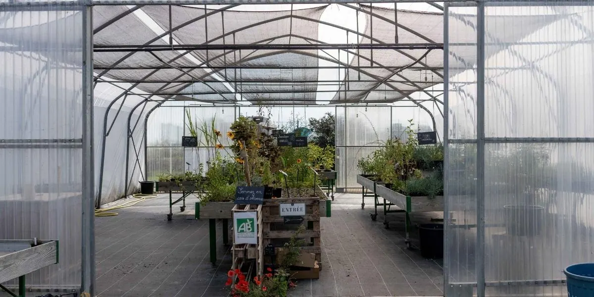 Serre de vente