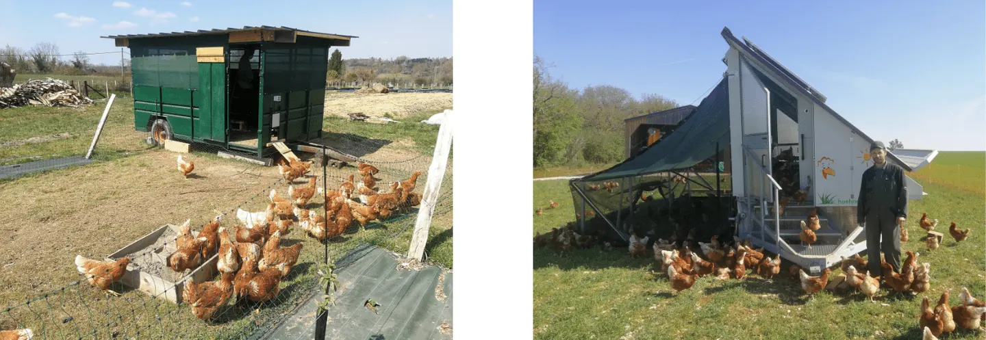 Poulailler auto construit